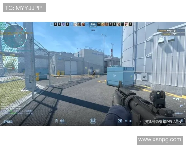 CS2枪械选择分析与战术应用探讨助你在游戏中取得胜利