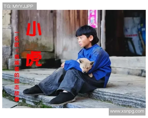 小虎清兵的传奇故事与成长历程探秘