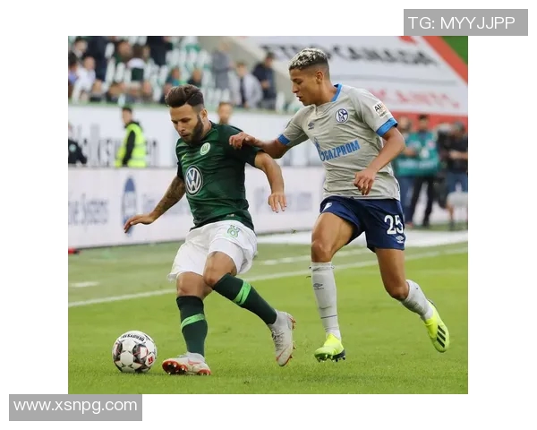 沙尔克04主场表现强劲，击败沃尔夫斯堡取得胜利